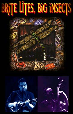 Bright Lites, Big Insects